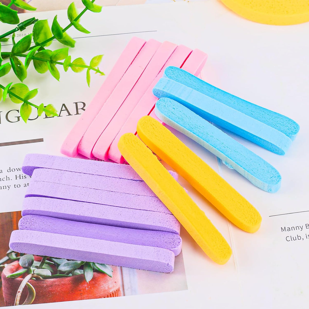 Compressed sponges for daily skincare